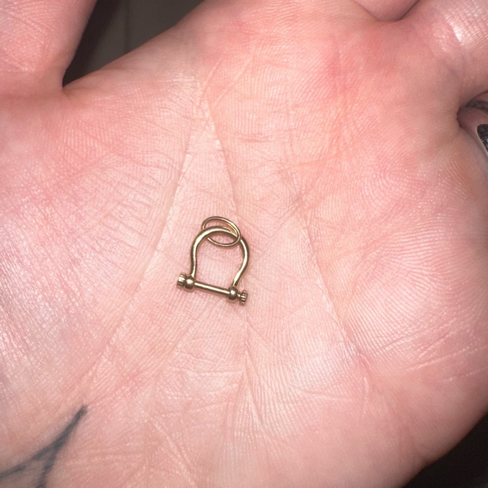 9kt Gold Horseshoe Clasp